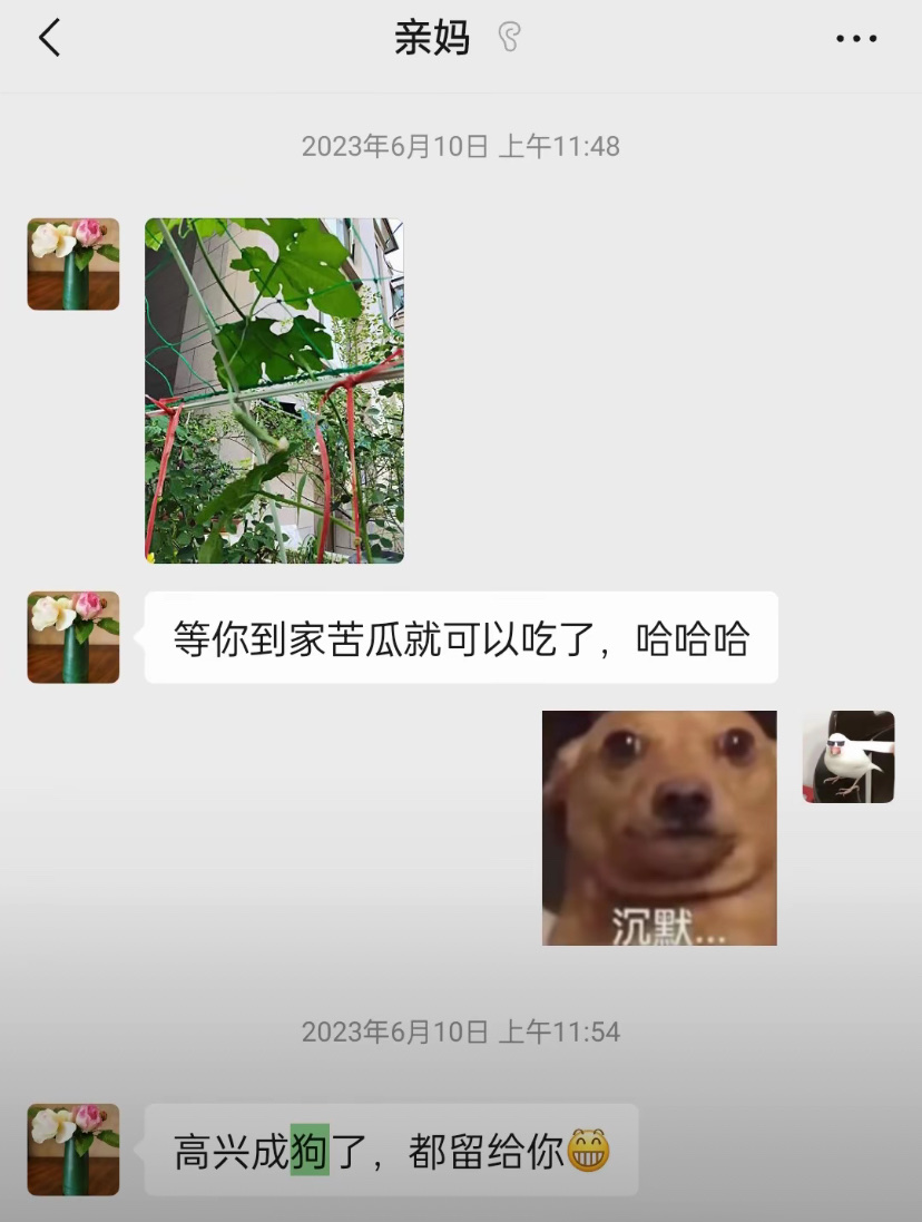 大晚上的给我笑抽了