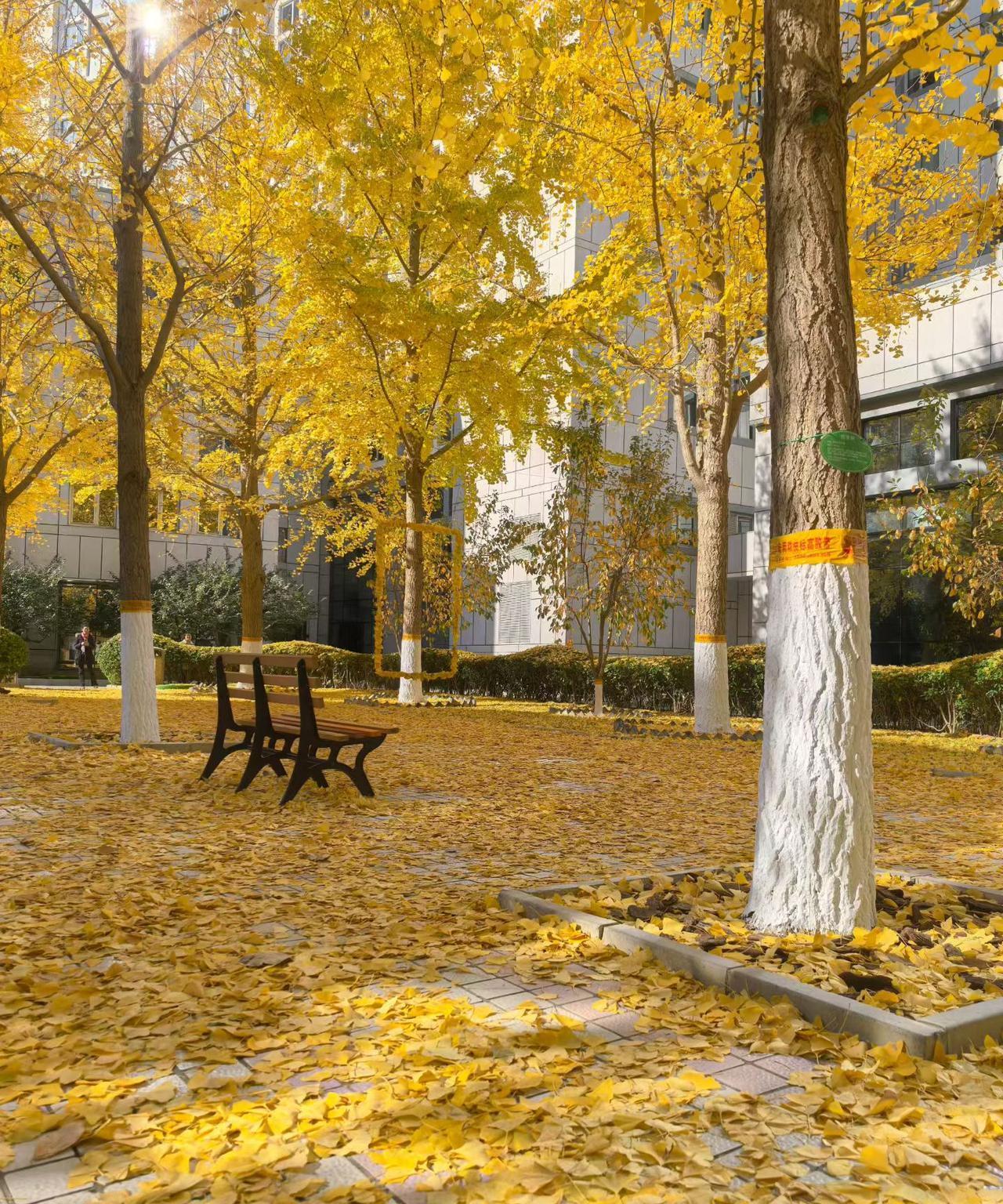 #星海V9让豪华MPV走进千万家#