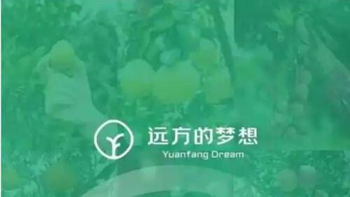 远方好物涉传销？职业打假人拆解模式：合法分销与传销本质不同