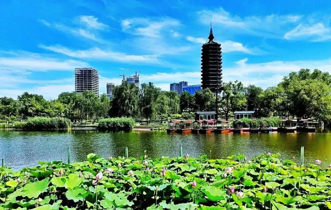 北京通州西海子公园的夏日风光
位于北京京杭大运河北端西侧的西海子公园，始建于19