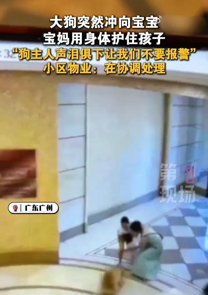 害人害己，这就是遛狗不拴绳的后果！近日，广东广州一位宝妈抱着1岁宝宝回家时，在小