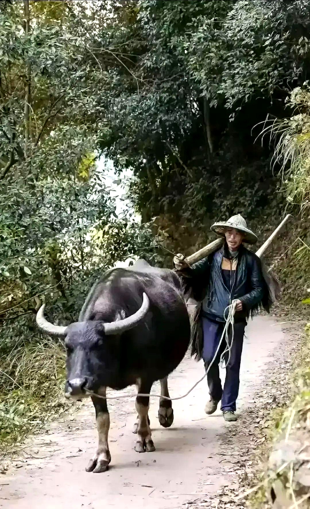 有人总结了一些所谓“人性铁律”，有的还挺有意思。比如，上门不空手，空手不上门。这