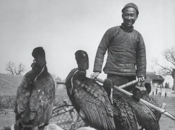 1942年，一渔夫主动搭载十六名日军渡江，在抵达江中心时，渔夫哈哈大笑转身跳入湍