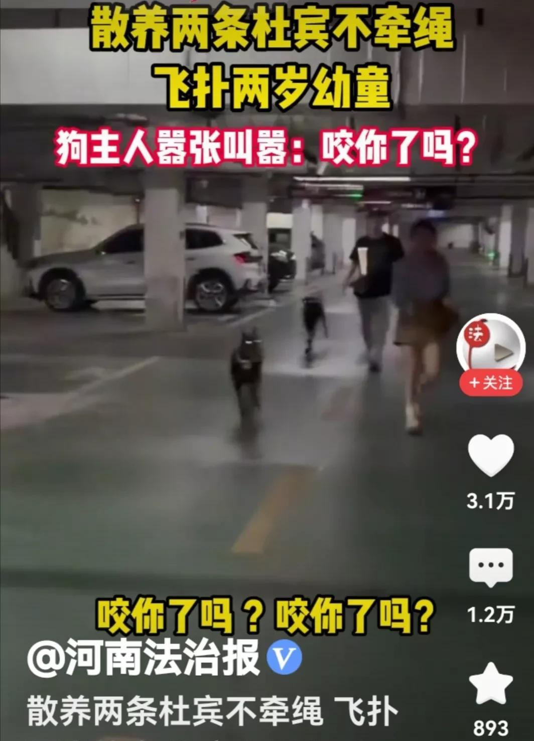江苏丹阳不牵绳的杜宾犬主人威胁受害者的原因终于找到了。
7月18日，江苏丹阳市某