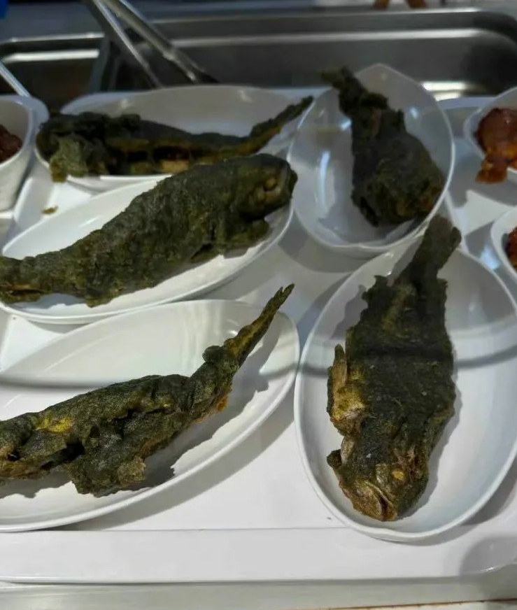 公司食堂菜品新高度：青铜鱼