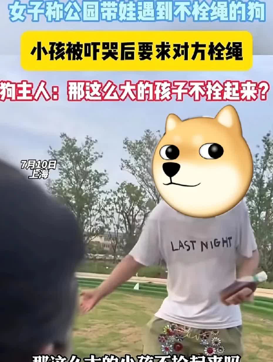为什么上海那男的能这么问：“你家小孩这么大了，为什么不拴起来？” 都说严格监管才