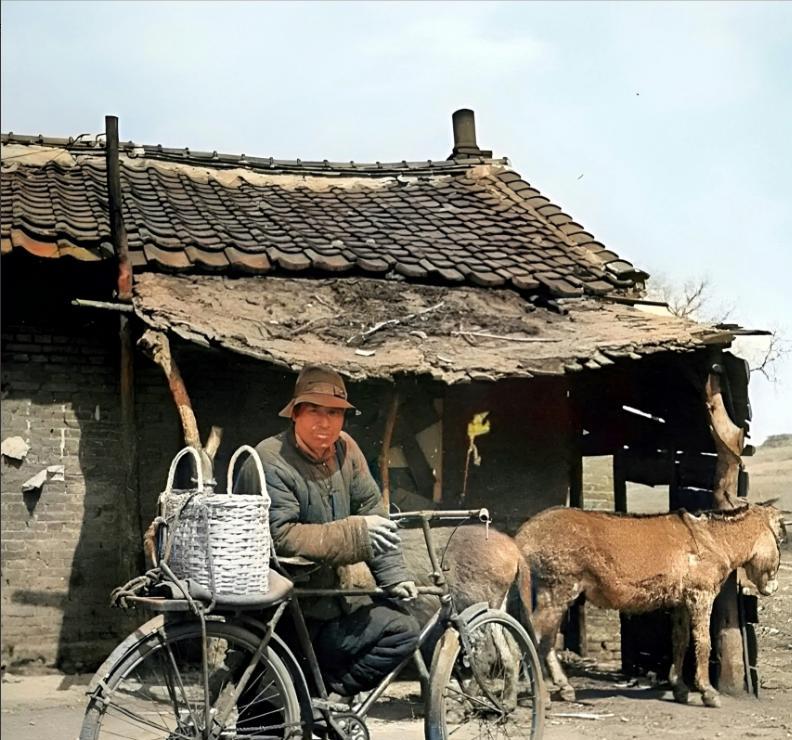 南来滴北往滴，去过澳门和香港滴；
上班滴下班滴，还有开车挂不上档滴……
看稀奇瞧