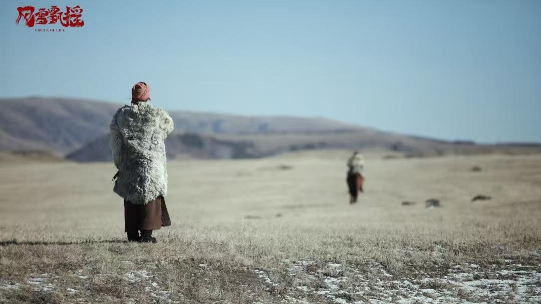《风雪飘摇》：平凡而不屈的脊梁，令人耳目一新