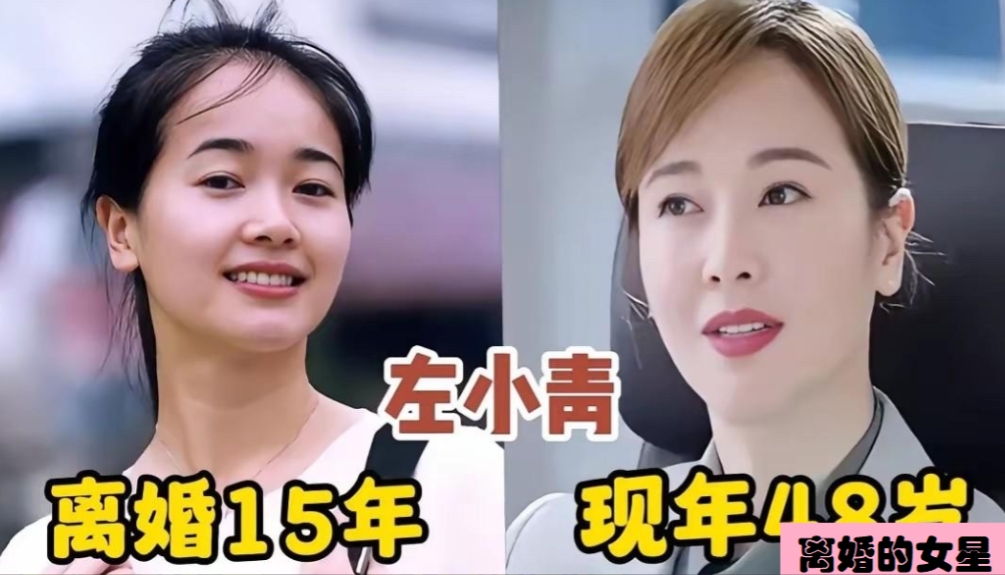 左小青， 离婚多年仍是单身，活得很滋润。
刘敏涛，离婚多年仍是单身，活得很滋润。