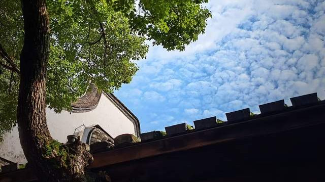 郑伯克段于鄢：两千多年前的权谋悲剧，如何引发我们的共鸣