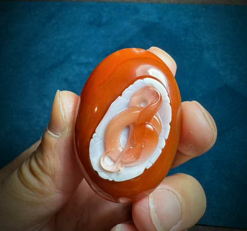 南红俏色灵蛇出壳 ​