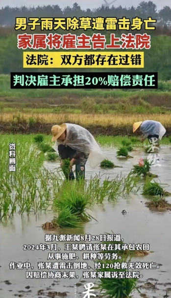 广东广州发生了一起具有警示意义的事件，一名男子在雷雨天于农田耕作时，突遭雷击不幸