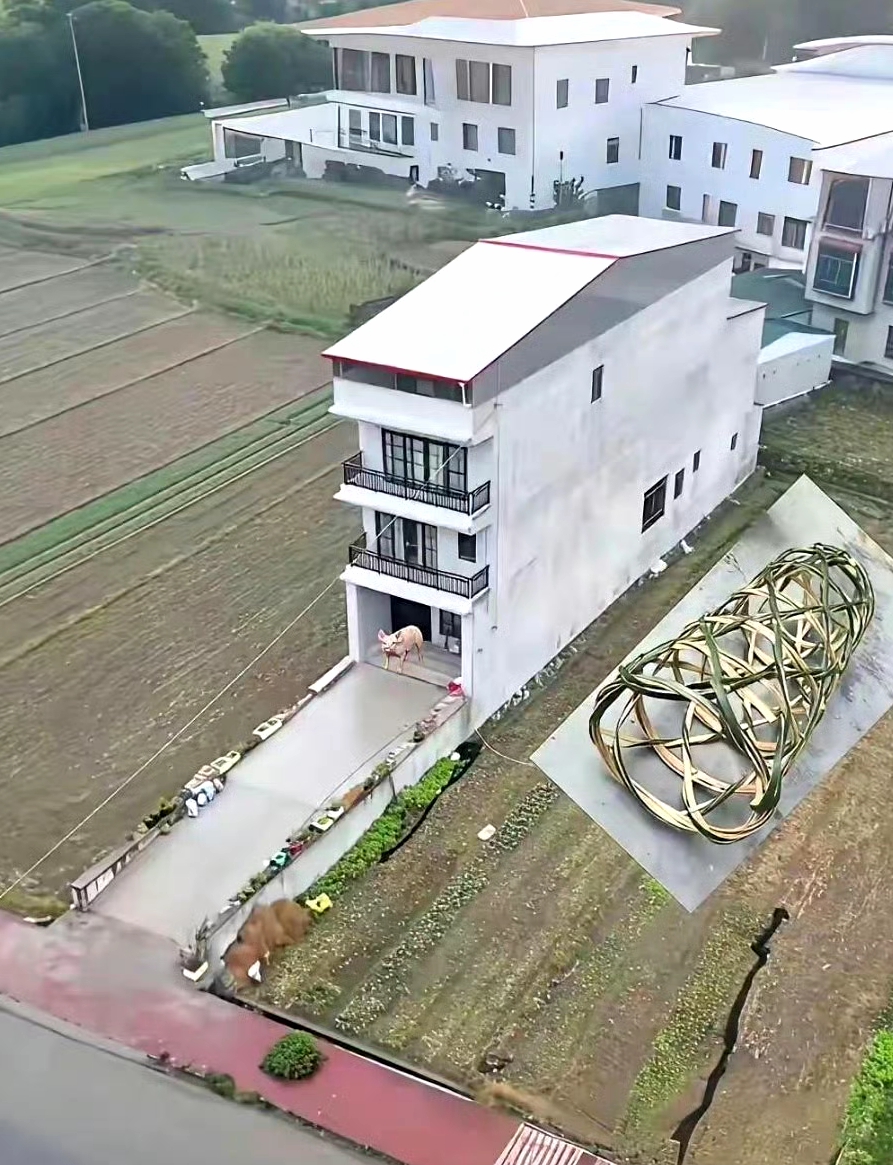 这种房子在农村被叫做“猪笼房”。 ​