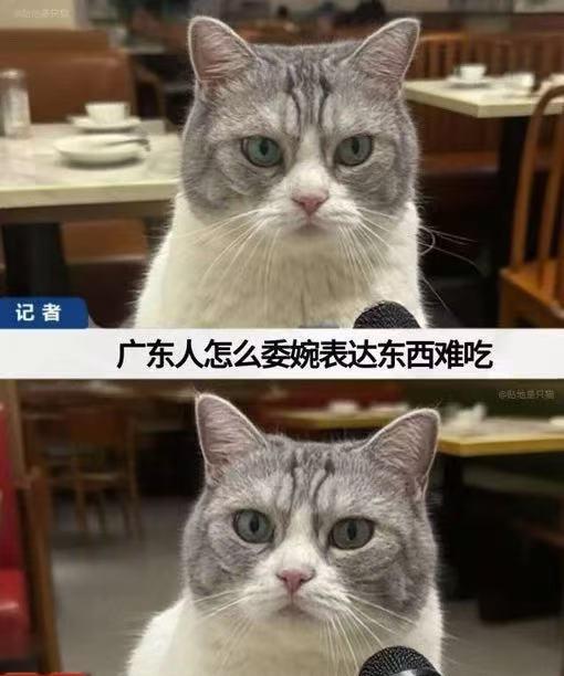 早知吃麦当劳[捂脸][捂脸][捂脸]#麦当劳# #麦当劳早餐# #美国麦当劳# 