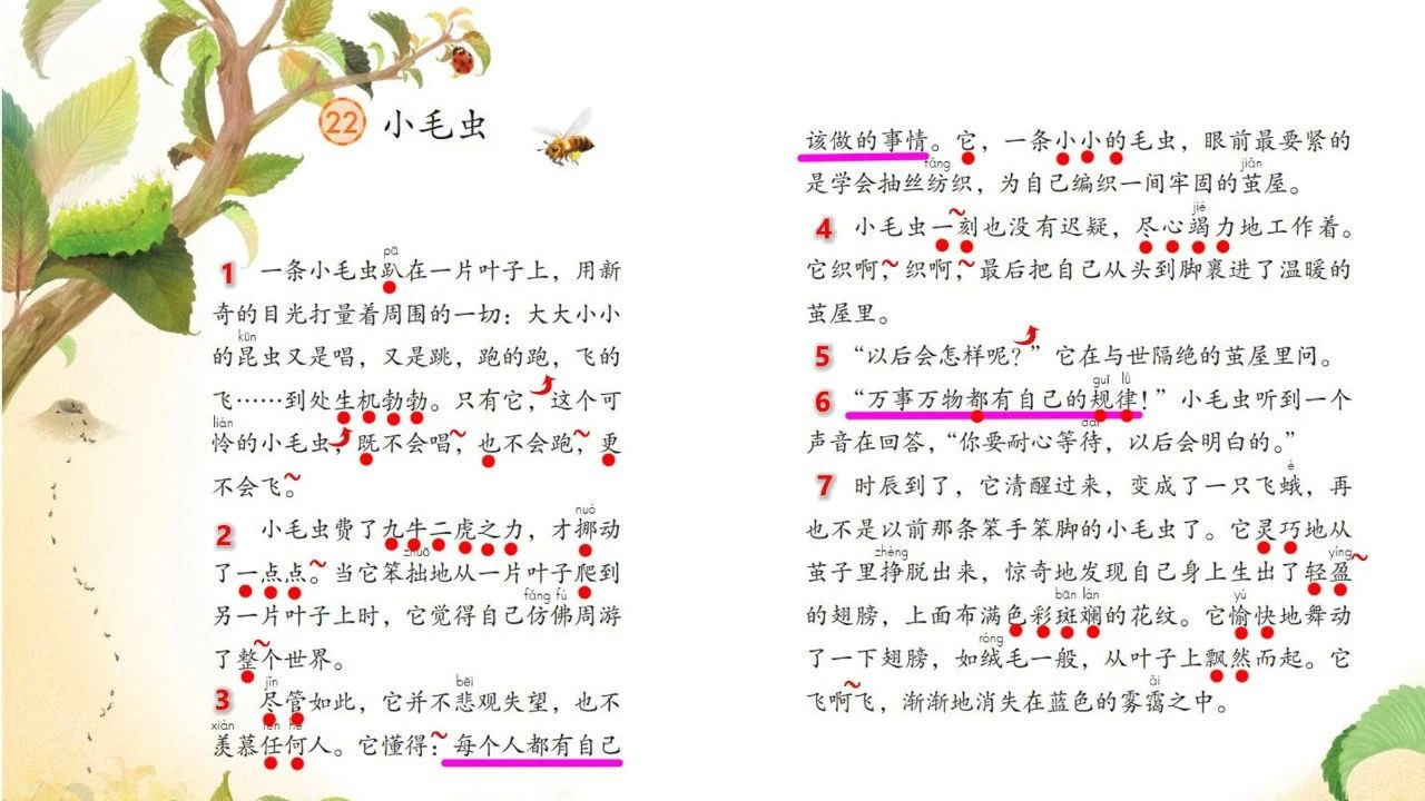 二下小毛虫：每个人都有自己该做的事情，万事万物都有自己的规律
