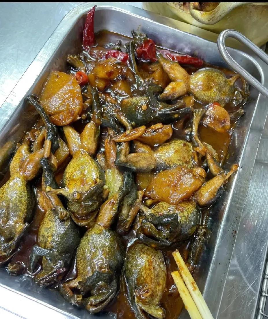 怎么没人早点告诉我这玩意还挺好吃
身在东北的最南端，
竟然第一次吃林蛙，
怎么没