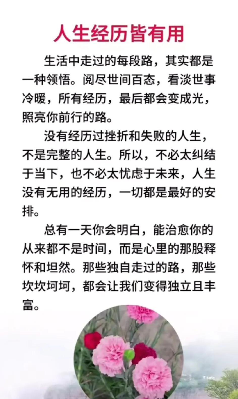 经历都是财富，别怕坎坎坷坷。