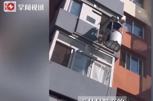 “离了个大谱！”近日，辽宁葫芦岛，一位退休大爷因为觉得爬楼太累，于是花了1年时间