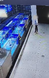 这个女子太坏了！一个女子拿网兜去鱼档的鱼池里捞鱼，她捞出来一条鱼并没有去打称，而