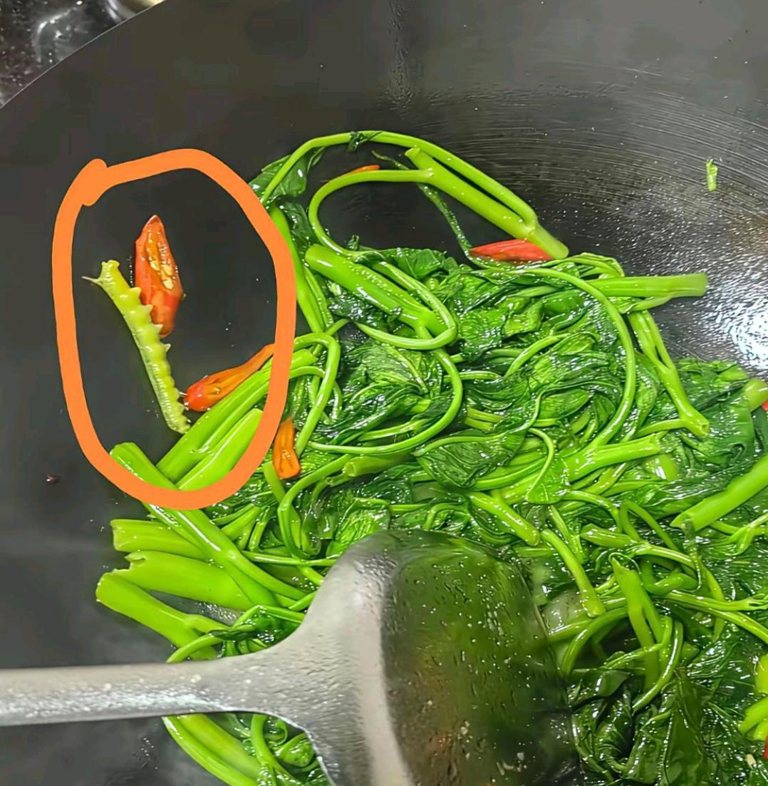 你们说吧，是碳烤还是油炸？？