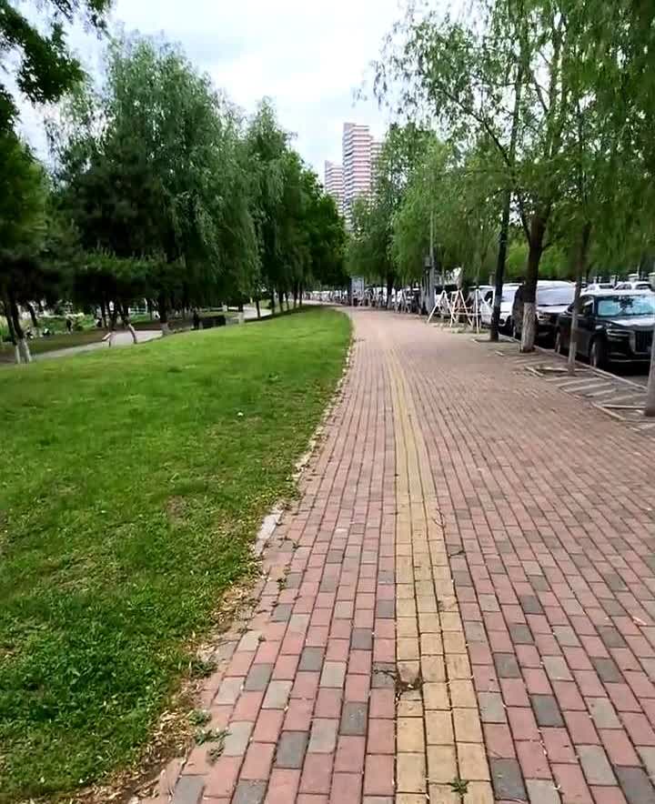德系电动车项目黄了。

某知名德系品牌主机厂的电动车项目已经黄了，不久就会关
