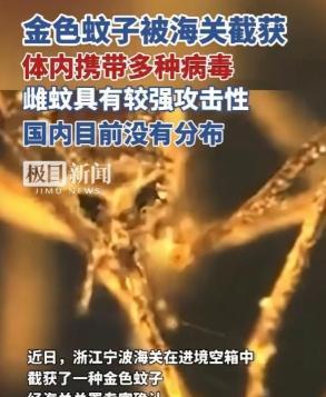 又是美国，又是病毒，这次不是实验室，是一整船“带毒蚊子”直接开到中国宁波！
宁波