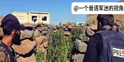 攻入苏韦达省的叙利亚阿拉伯部落武装发现了德鲁兹人种植的一小片大麻。



最近，