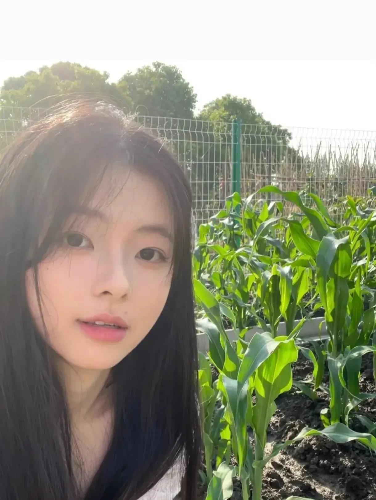 #本地人写本地事#
农村姑娘返乡半年实录：别让乡愁“坑”了你
在城里打工那几年，