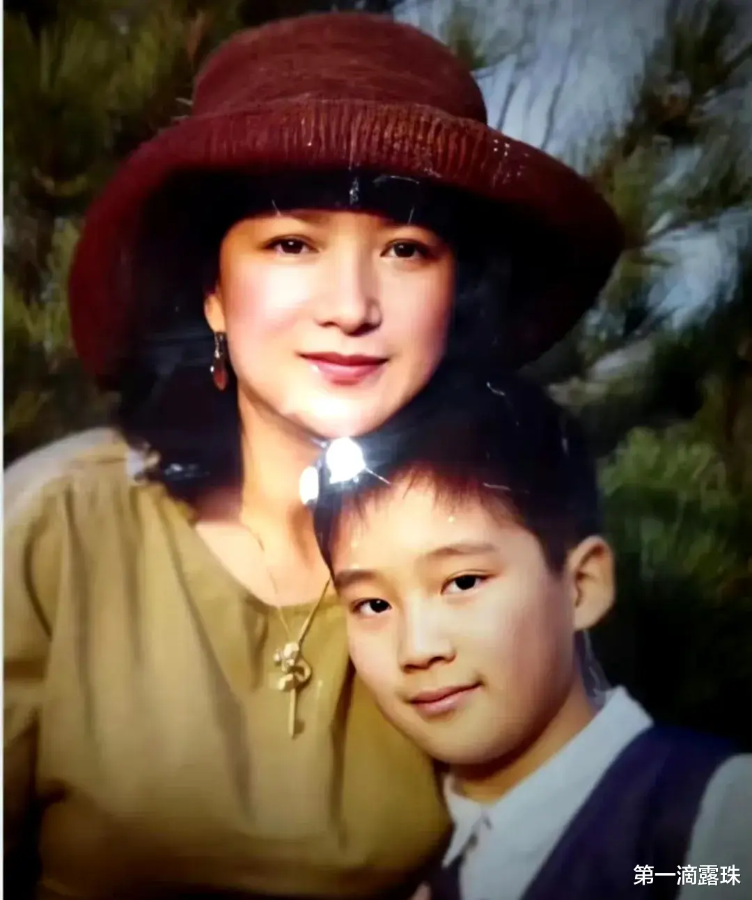 何晴离世，最悲伤是儿子许何！24岁许何低调优秀，刚与父亲许亚