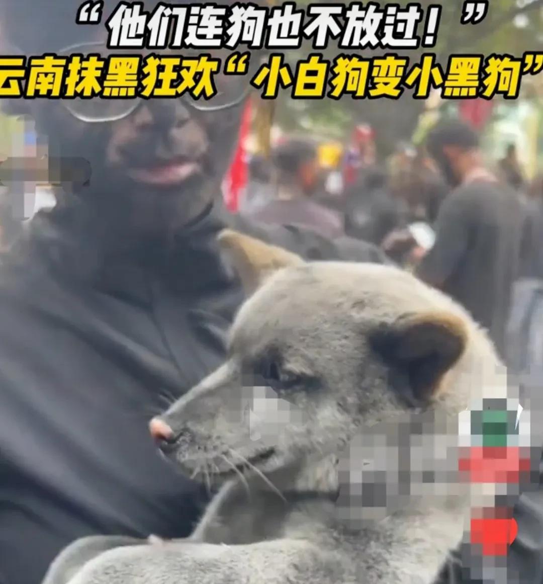 云南墨江，狂欢抹黑节，只要来到这里的游客，无一例外的，都被抹的全身黑。
不管你穿