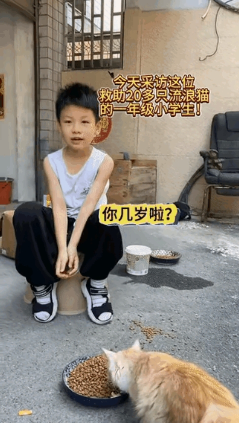 “真心善！”有个7岁小男孩，两年救了快一百只流浪猫。有人问他，用啥救啊。他说，我