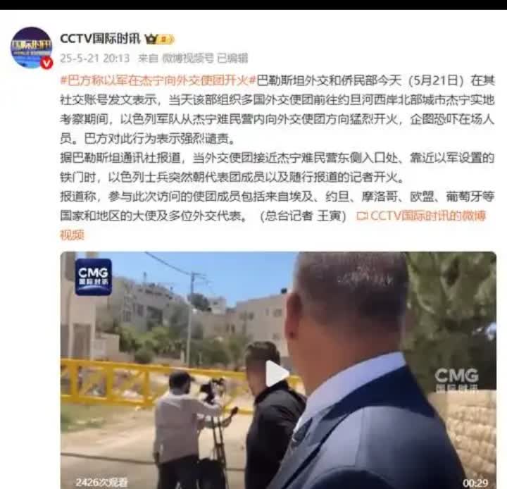 以军向外交使团开火