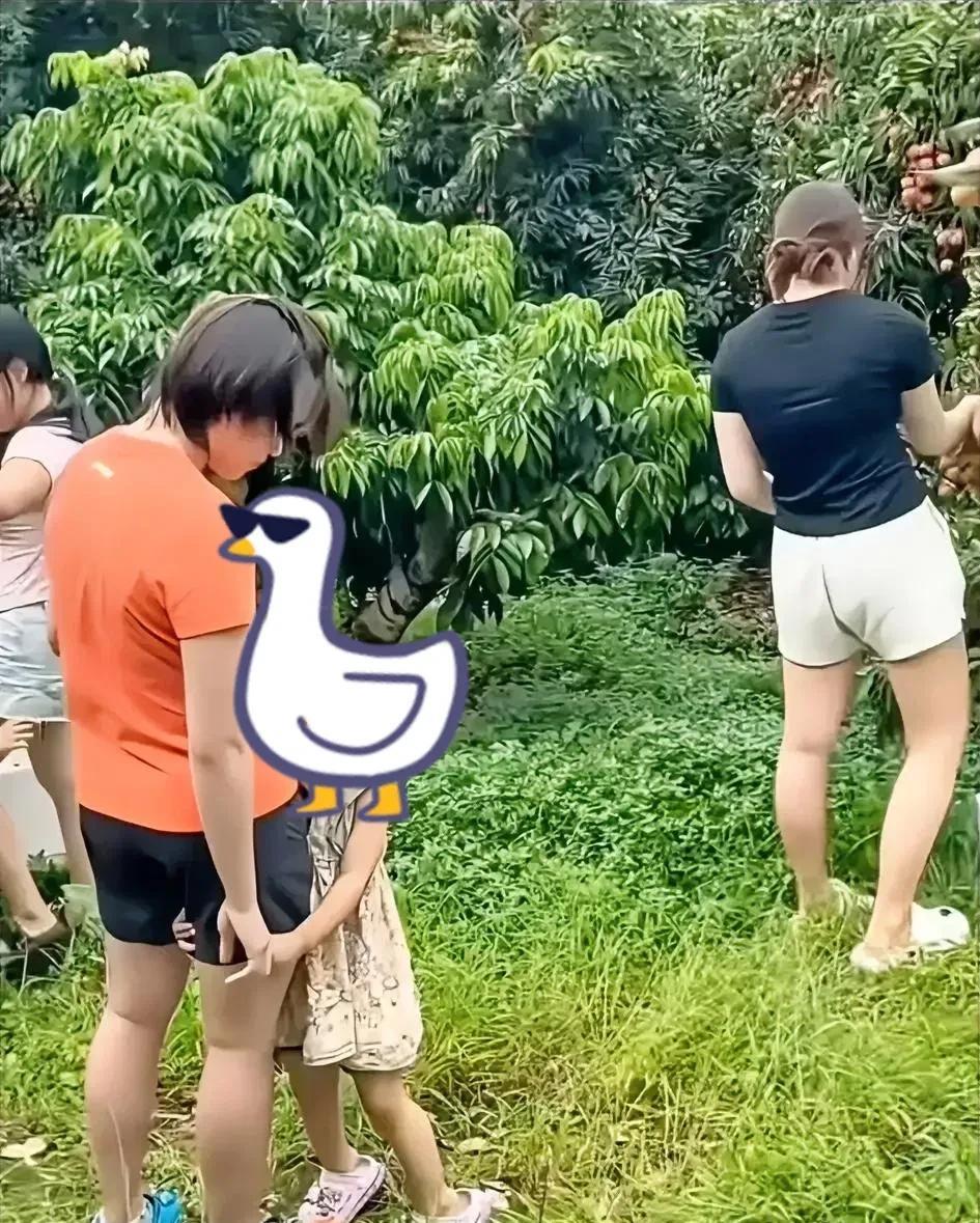 有个事一直不敢说，但还是得说出来，今后全红蝉的跳水生涯是不是结束了？ 
偶然刷到