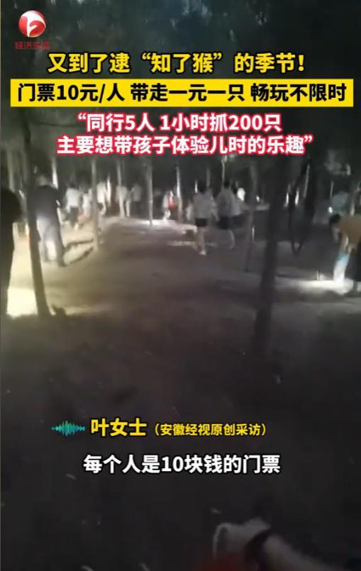 “简直就是捡钱啊！”2025年6月，江苏徐州，一老板为了赚钱，开放自家“知了猴”