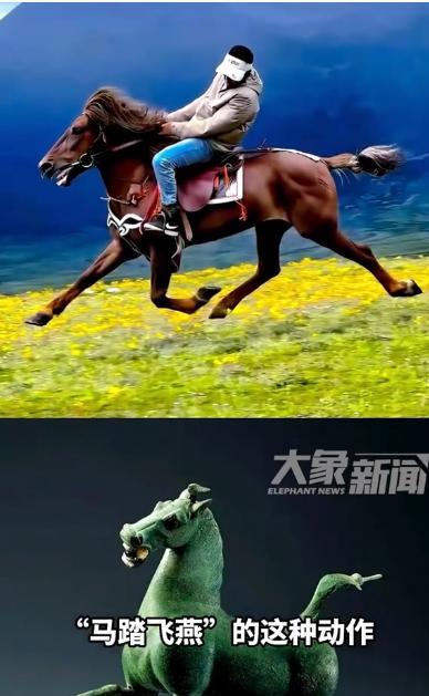 “长见识了！”2025年3月，四川一匹6岁的藏马，天生顺拐，一跑起来，步伐看着乱