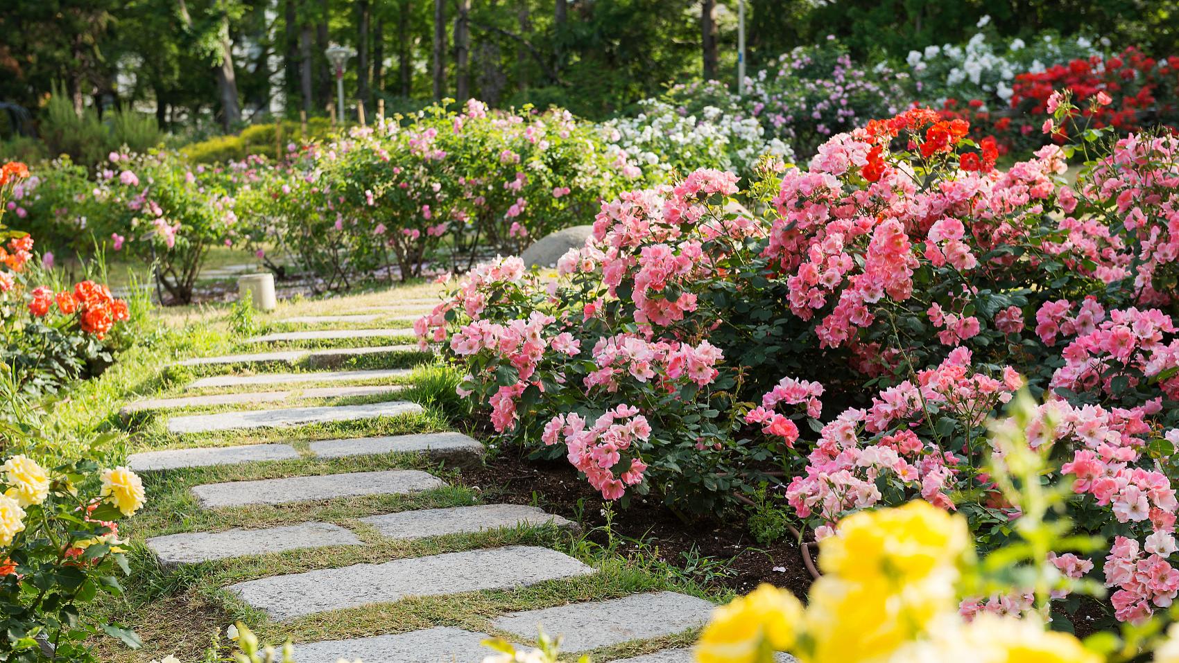 汪缘堂谈流年十神与运势应期