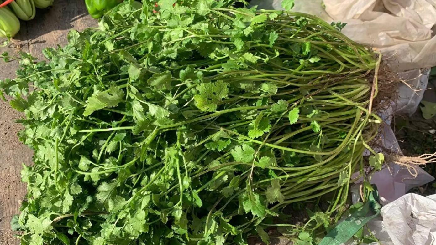 菜市场遇到这菜别手软，买一把炒肉丝，比辣椒炒肉还香！