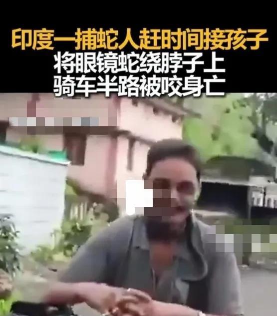 印度一名男子用生命上演“不作死就不会死”
当地时间7月14日，印度一名捕蛇人在一