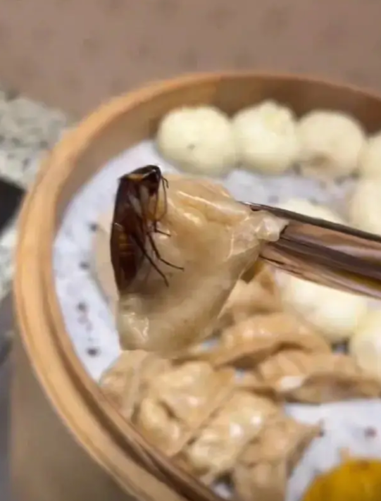 【桔子酒店店长道歉，市监部门介入】“酒店很大，房间的设施也不错，就是这个早餐里吃