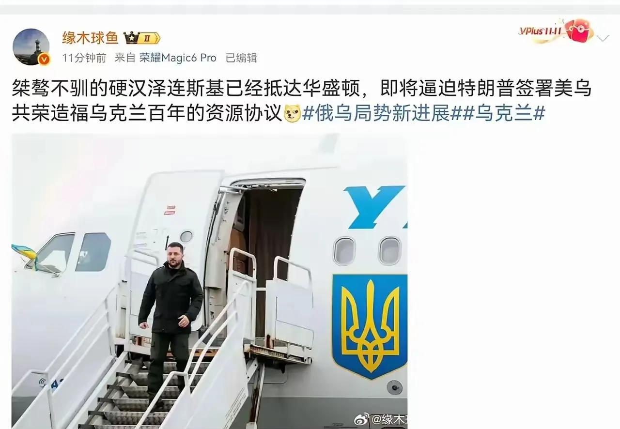 哇塞，泽连斯基真牛！
更牛的是这作者，一句话把我干沉默了三次：
1.“桀骜不驯的