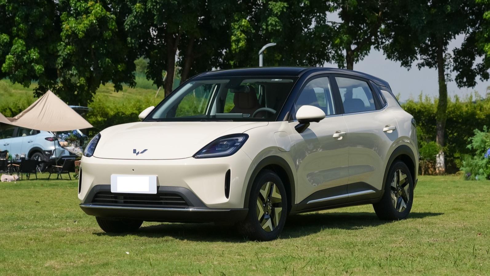 亲民版“海豚”即将上市，预售不足7万，外观年轻动感，续航430Km