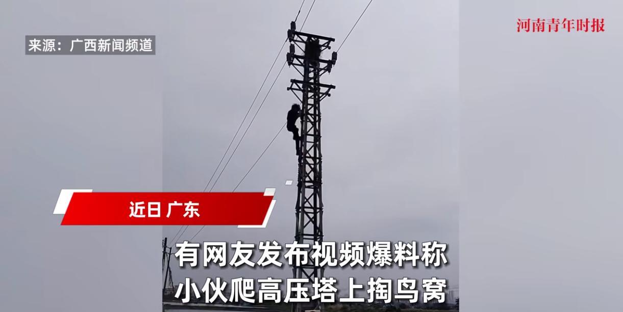 “离了个大谱！”近日，广东，一小伙为了“掏鸟窝”，竟然爬上了一座高压电塔，结果在