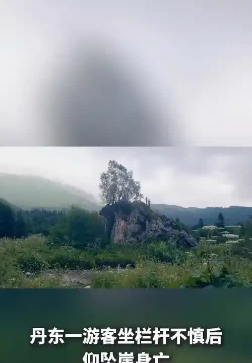 8月2日游客坐栏杆不慎后仰坠崖身亡
辽宁丹东凤凰山景区发生了一起悲剧
一名5
