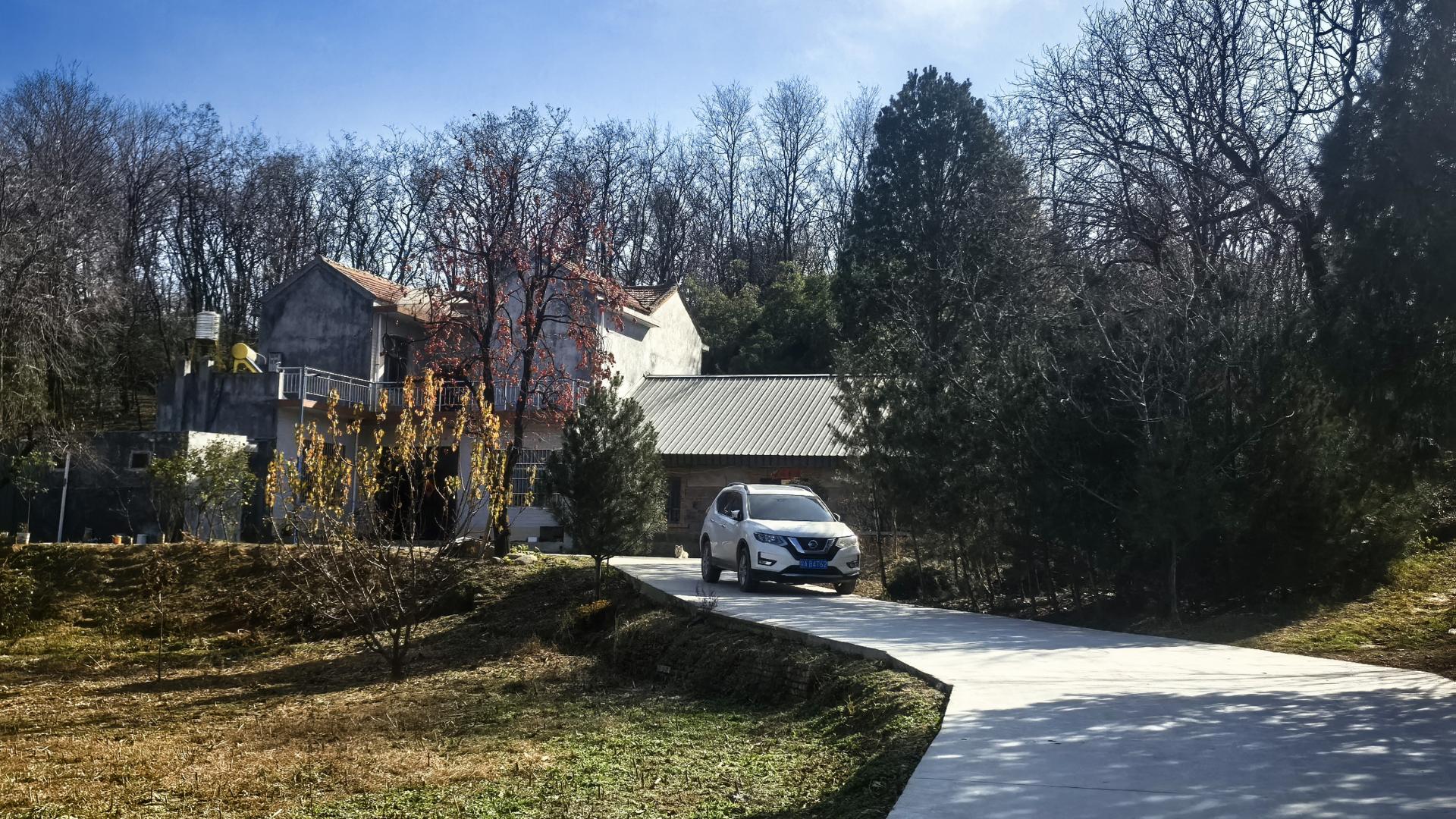 开车到蓝田这个岭上看柿子、观山景、晒暖暖，就是初冬最幸福的事