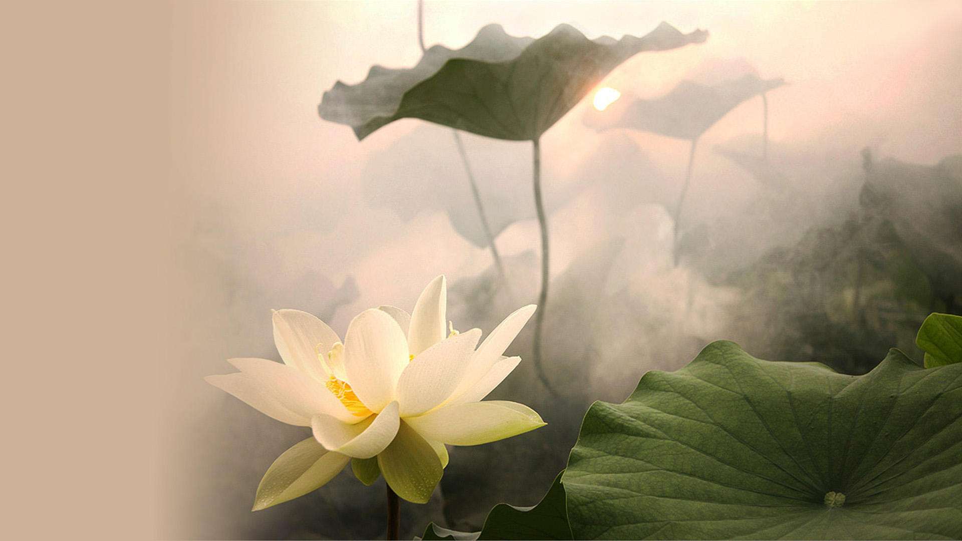 拆迁分了130万，我给儿子80万，儿媳却问我：你要这么多钱干嘛？