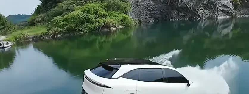 专家预测，中国汽车可能剩下6家：

1：比亚迪，总部在深圳
2：吉利，  