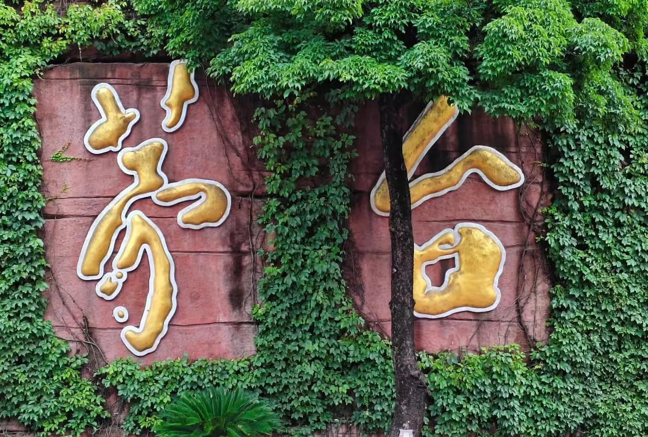 #分享城市新鲜事#再一次到中国酒都感受茅台的魅力
守金有道，守心如初