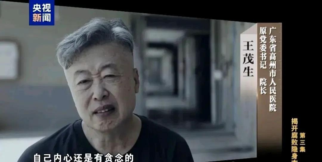 广东省高州市人民医院原党委书记、院长王茂生贪腐案的故事：
重点是前赴后继，走了一