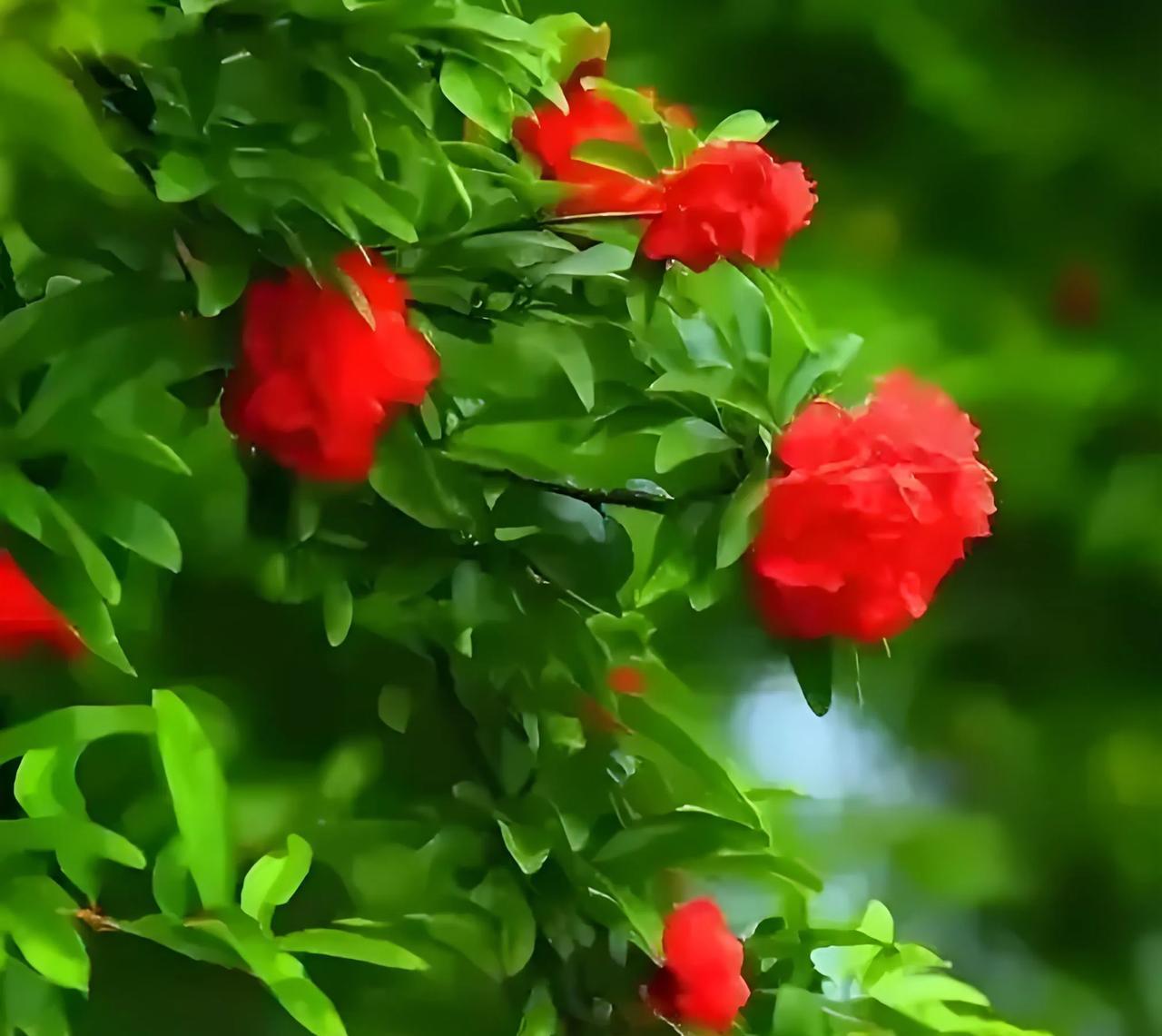 #上联：晨露晶莹润绿叶，对下联# 
晨露晶莹润绿叶，
暮霞绚烂映红花。