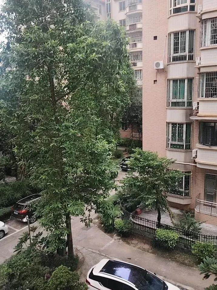 为啥没有台风呢？
停课、停工的意义呢
抢菜屯在家啥办
一大早醒来发现昨晚根本就没